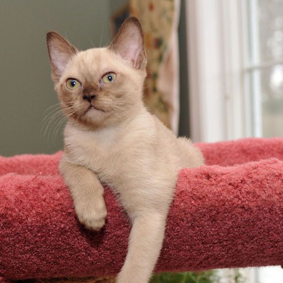 Meet your Posher, Nancy - Picture 1 of 1